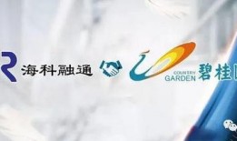 海科融通最新爆料新闻,揭秘行业动态与重大突破